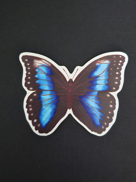 Blue Morpho Butterfly Stickers (Sold Separately)