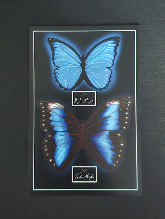 Blue Morpho Butterfly (Framed Print)