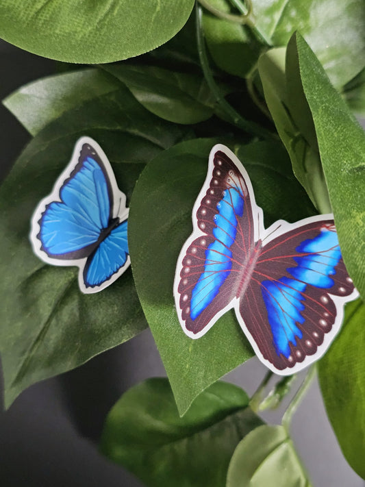Blue Morpho Butterfly Stickers (Sold Separately)