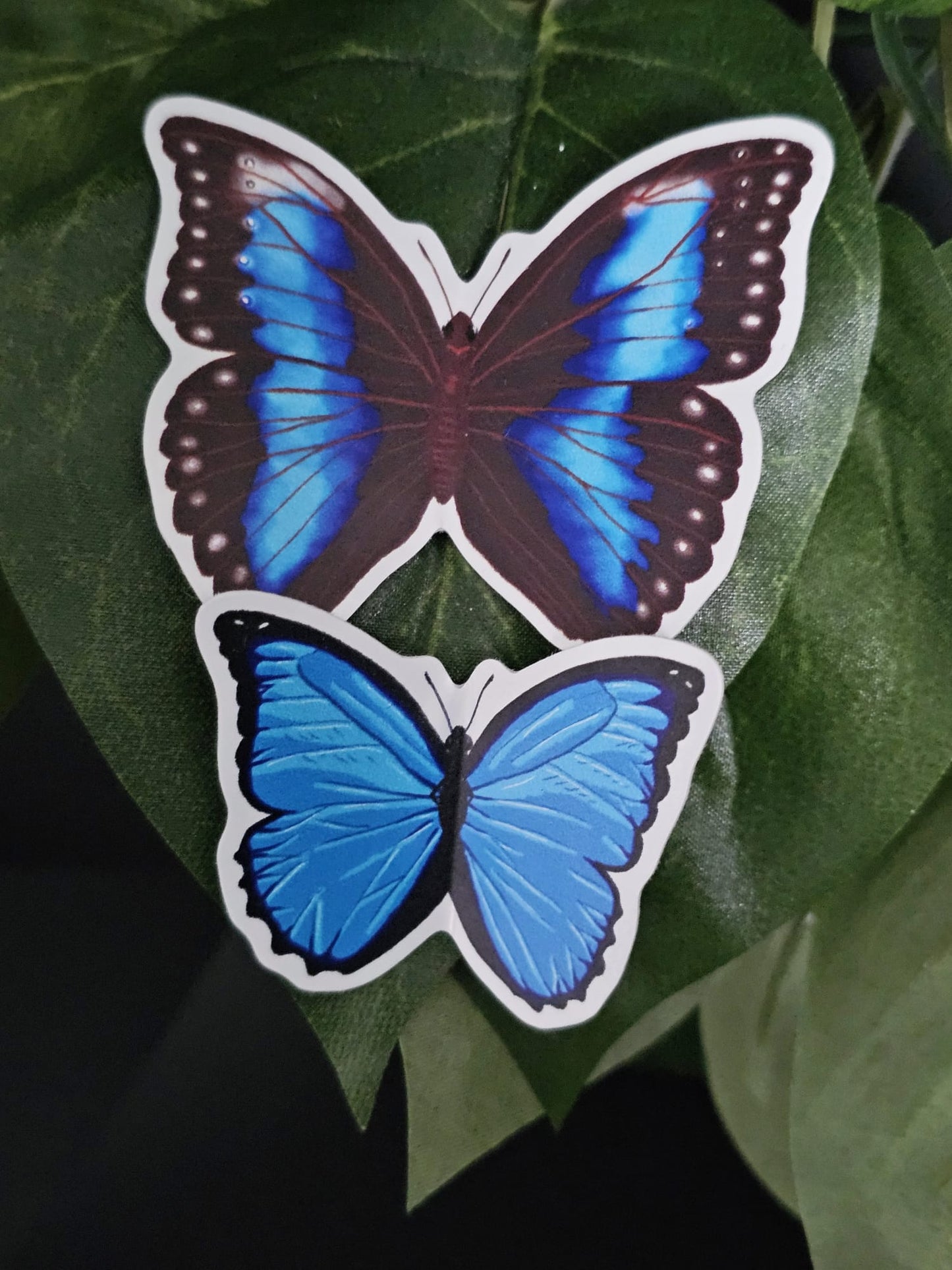 Blue Morpho Butterfly Stickers (Sold Separately)