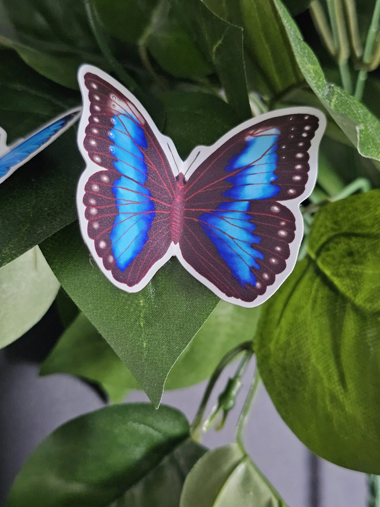 Blue Morpho Butterfly Stickers (Sold Separately)