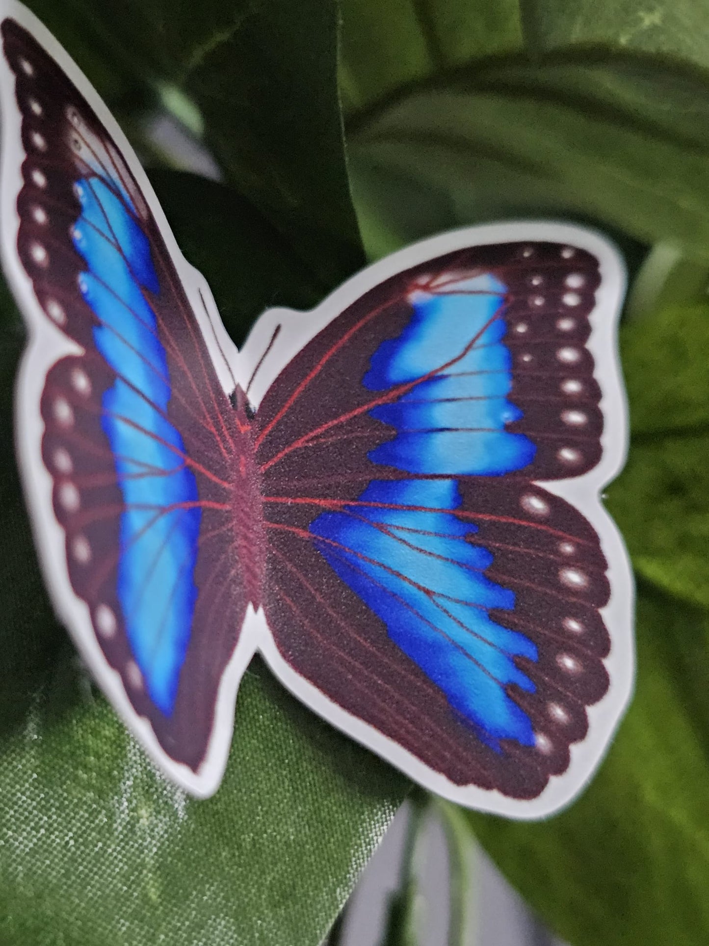 Blue Morpho Butterfly Stickers (Sold Separately)