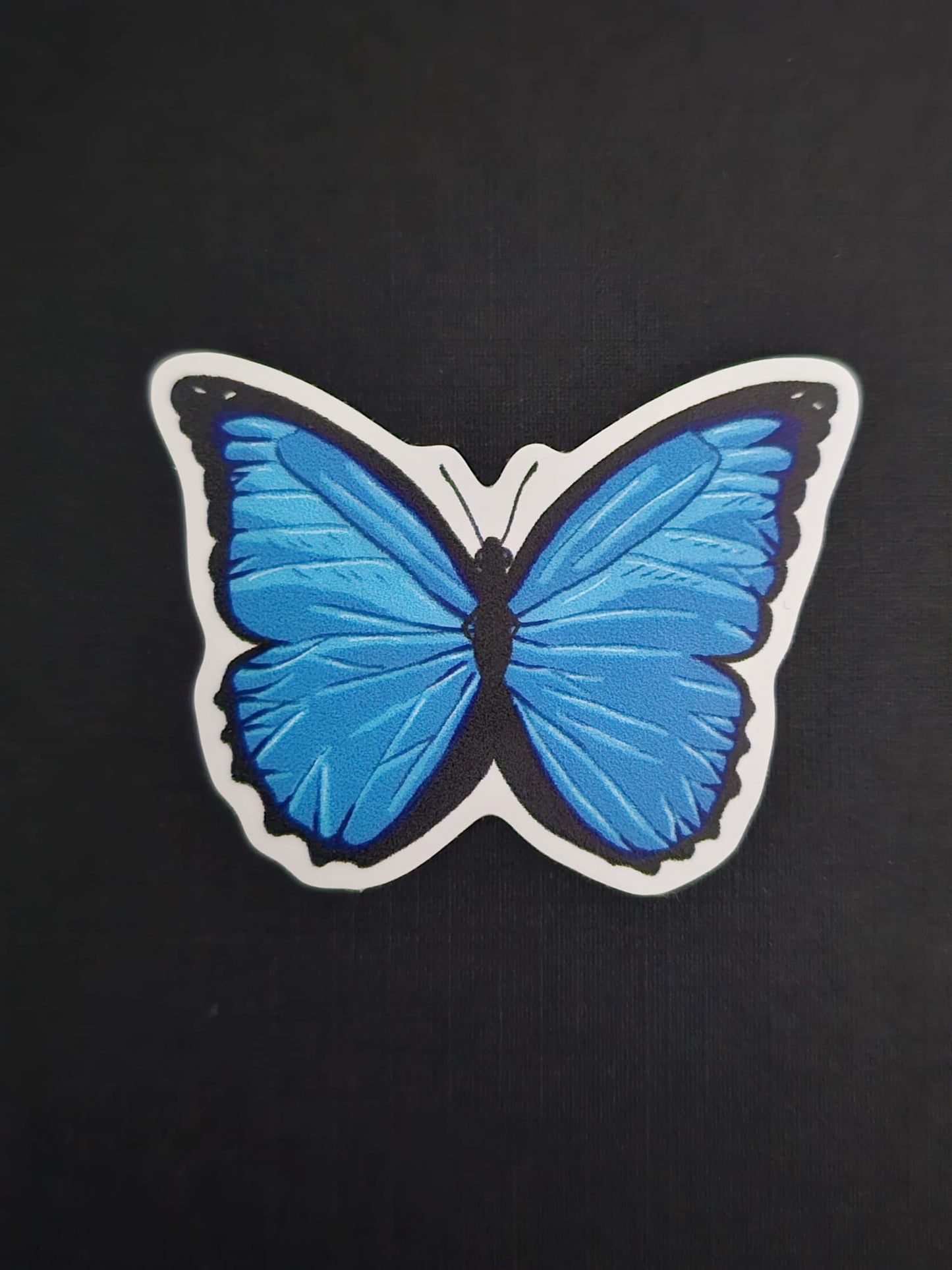 Blue Morpho Butterfly Stickers (Sold Separately)