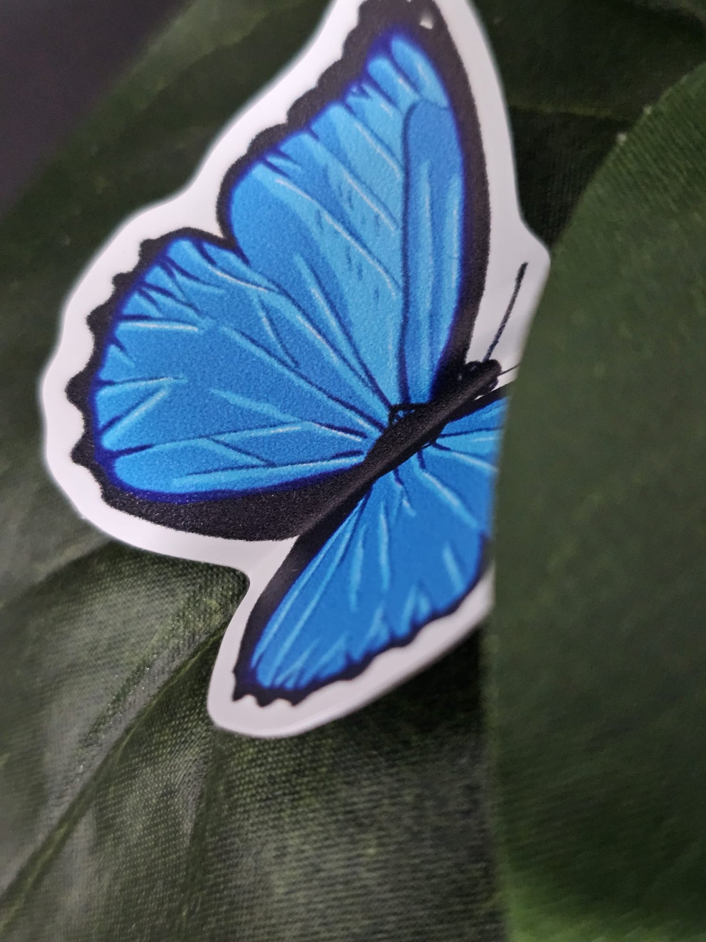 Blue Morpho Butterfly Stickers (Sold Separately)